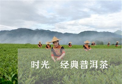 时光 经典普洱茶/2023041086158